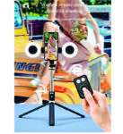 2 in 1 selfie stick tripod with remote & ring light