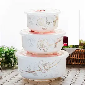 3PCS NEW BONE CHINA BOWL