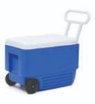 IGLOO COOLER