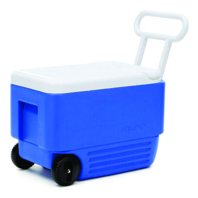 IGLOO COOLER