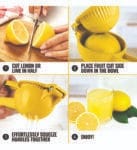 LEMON PRESS (PLASTIC)