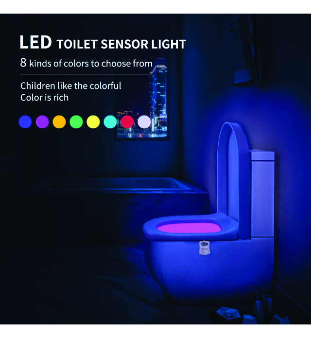 Toilet motion sensor light 1