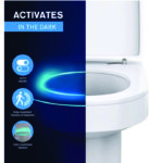 Toilet motion sensor light