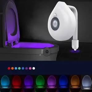Toilet motion sensor light
