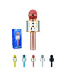 WIRELESS MICROPHONE SPEAKER (Karaoke MIC12 Versatile Microphone with a Integrated Speaker)