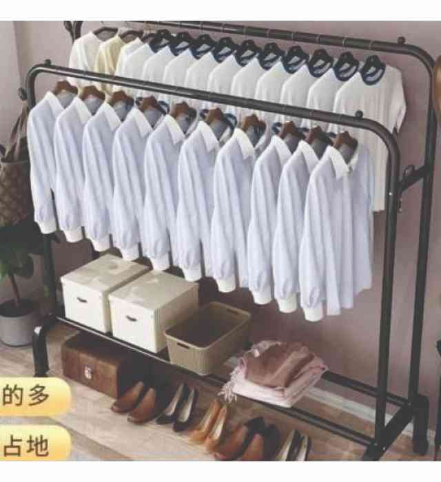 HANGER AND SHOE RACK