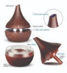 ULTRASONIC PERSONAL HUMIDIFIER (Usb Humidifier Diffuser)