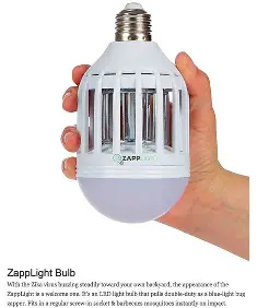 ZAP LIGHT
