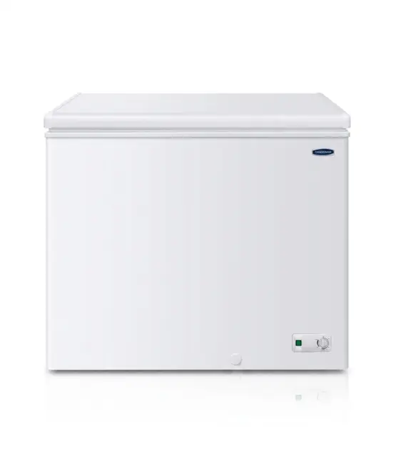 100L Chest Freezer(SILVER)